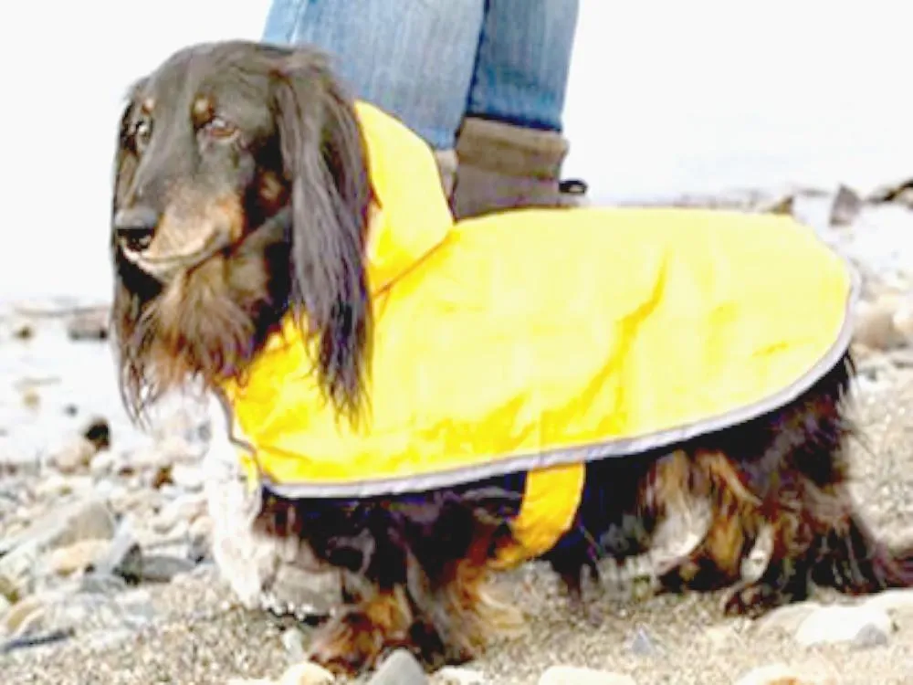 RC Pets Packable Dog Rain Coat