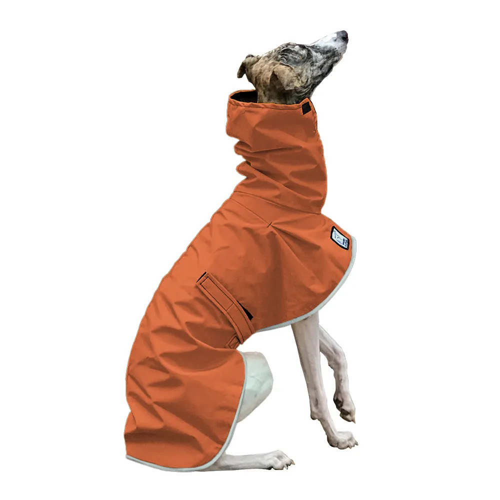 Whippet Raincoat